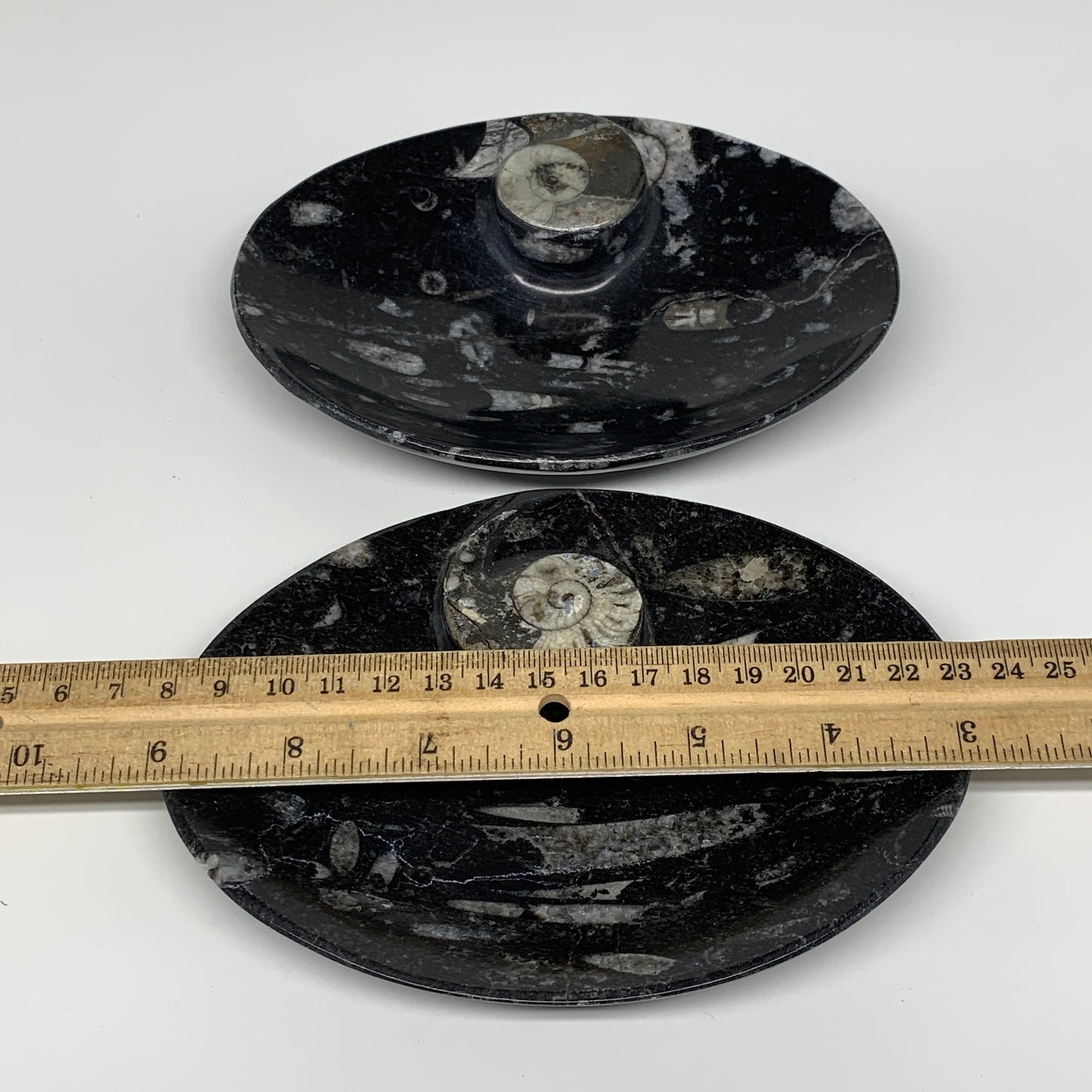 2pcs, 6-6.25"x4.7" Black Fossils Ammonite Orthoceras Bowl Oval Ring @Morocco,B88