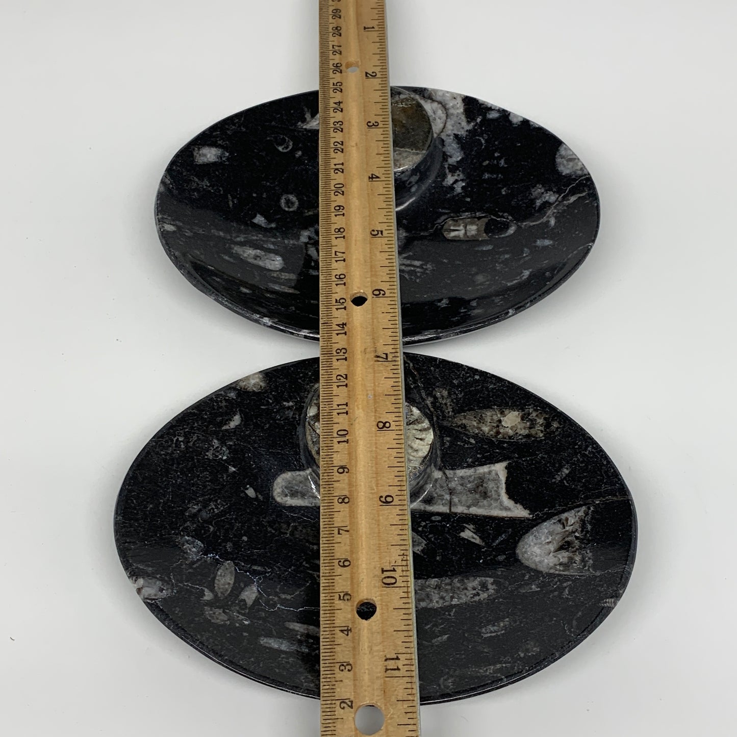 2pcs, 6-6.25"x4.7" Black Fossils Ammonite Orthoceras Bowl Oval Ring @Morocco,B88