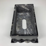 2.2kg, 10.5"x6.25" Black Fossils Orthoceras Tissue Paper Box Cover @Morocco,F437