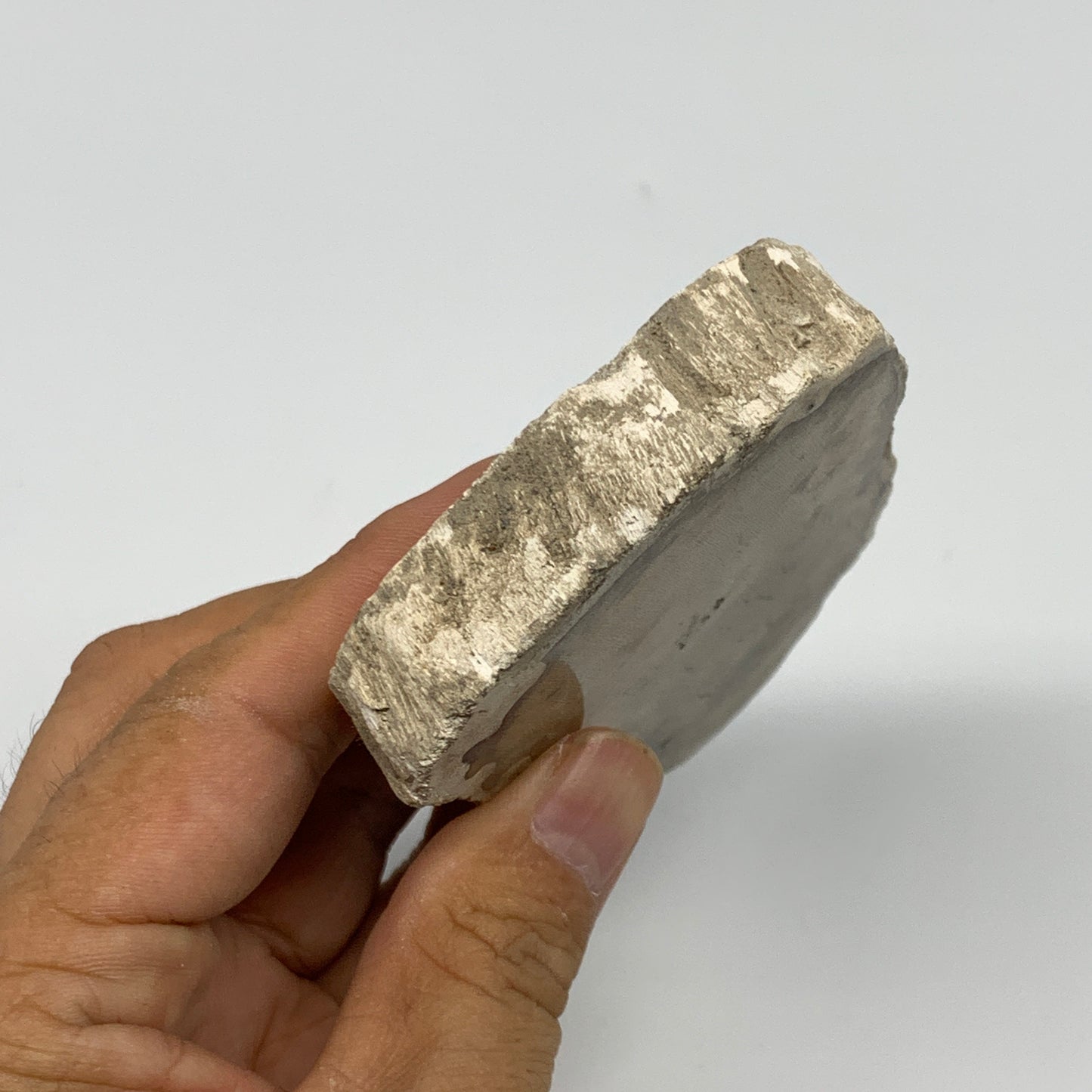 185g,3.9"x2.4"x0.6" Petrified Wood Slab Tree Branch Specimen, Minerals, B22636