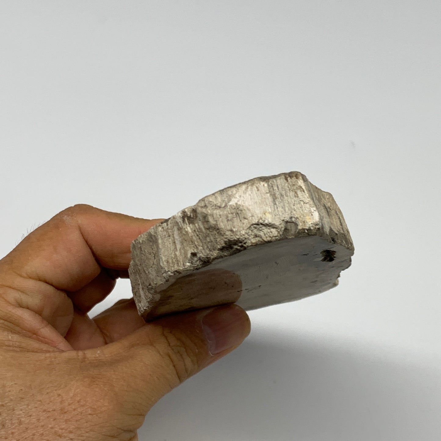 185g,3.9"x2.4"x0.6" Petrified Wood Slab Tree Branch Specimen, Minerals, B22636