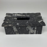 2.29kg, 10.5"x6.25" Black Fossils Orthoceras Tissue Paper Box Cover @Morocco,F44