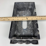 2.29kg, 10.5"x6.25" Black Fossils Orthoceras Tissue Paper Box Cover @Morocco,F44