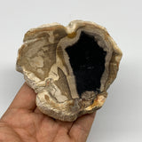 240g,3.7"x3.5"x0.7" Petrified Wood Slab Tree Branch Specimen, Minerals, B22639