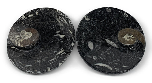 2Pcs, 6.5"x5.25" Black Fossils Ammonite Orthoceras Bowl Oval Ring @Morocco,B8806