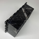 2.33kg, 10.5"x6.25" Black Fossils Orthoceras Tissue Paper Box Cover @Morocco,F44
