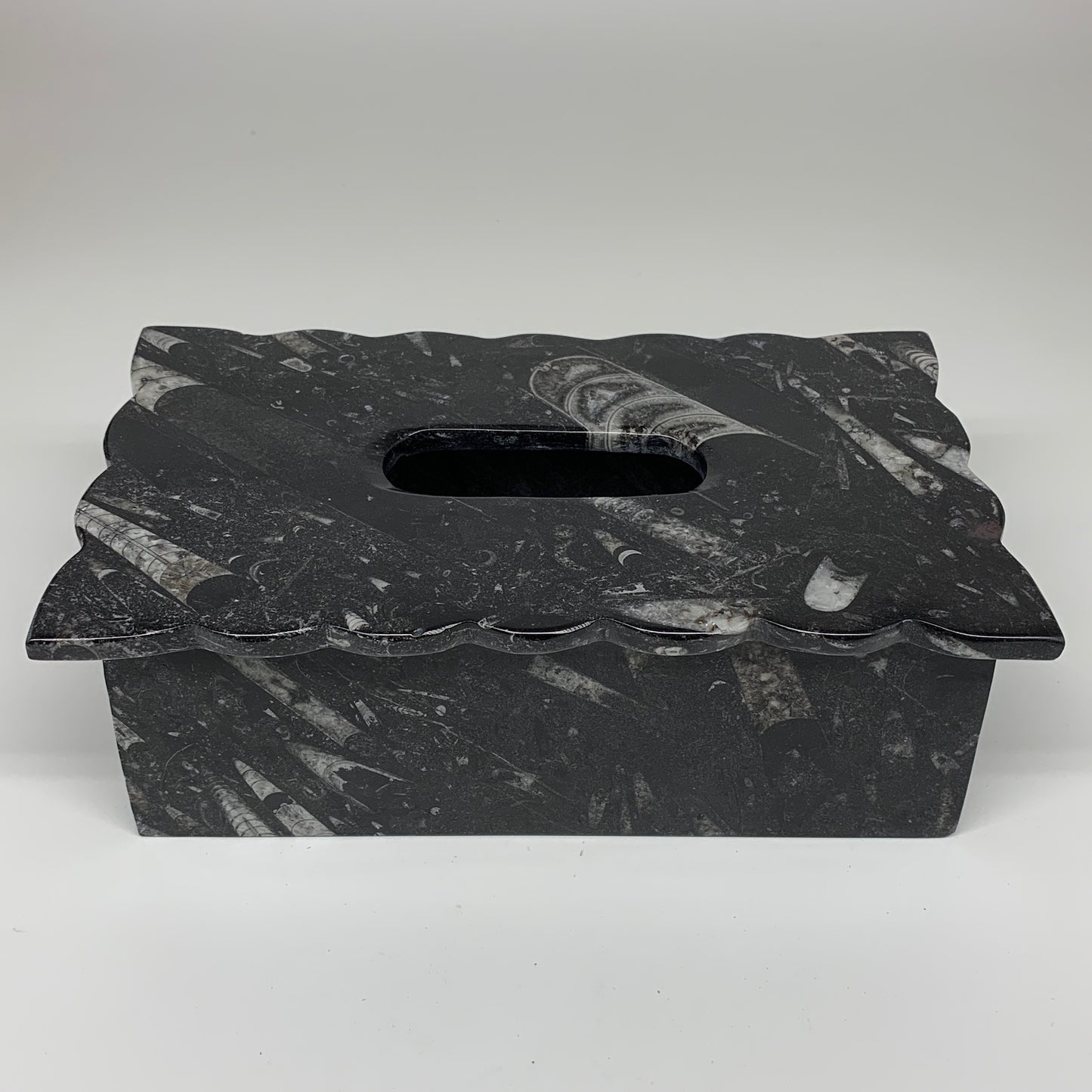 2.27kg, 10.5"x6.1" Black Fossils Orthoceras Tissue Paper Box Cover @Morocco,F446