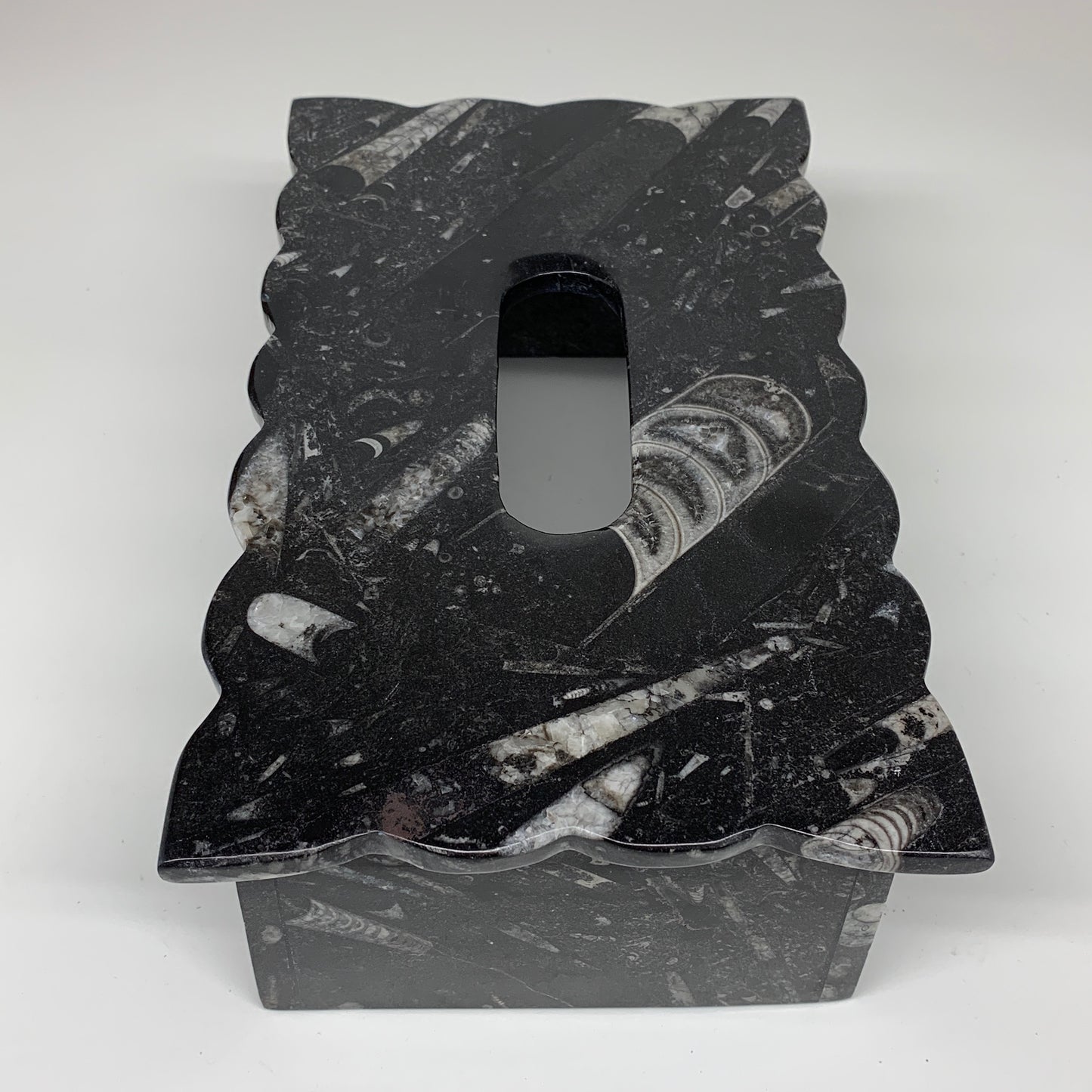 2.27kg, 10.5"x6.1" Black Fossils Orthoceras Tissue Paper Box Cover @Morocco,F446