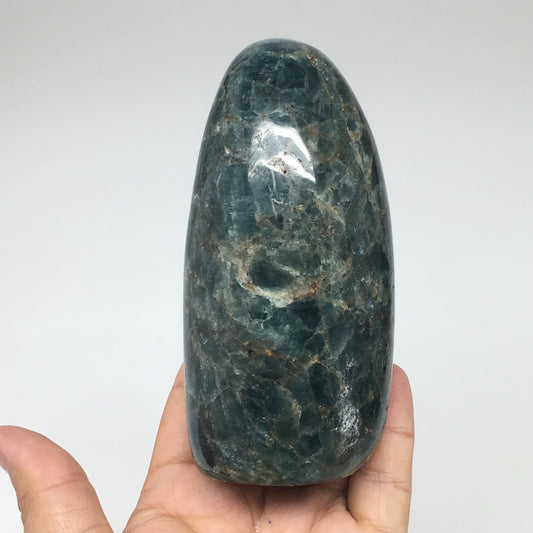 614g,4.5"x2.1"x2" Blue Apatite Polished Freeform Stands @Madagascar,B1173