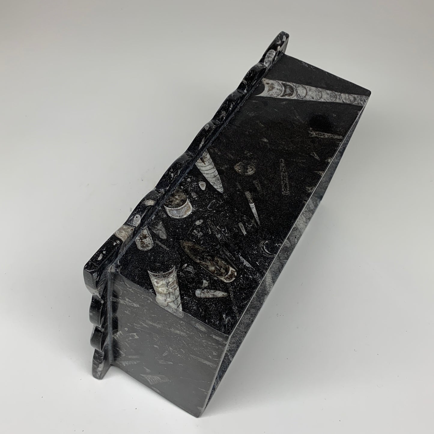 2.27kg, 10.5"x6.1" Black Fossils Orthoceras Tissue Paper Box Cover @Morocco,F446