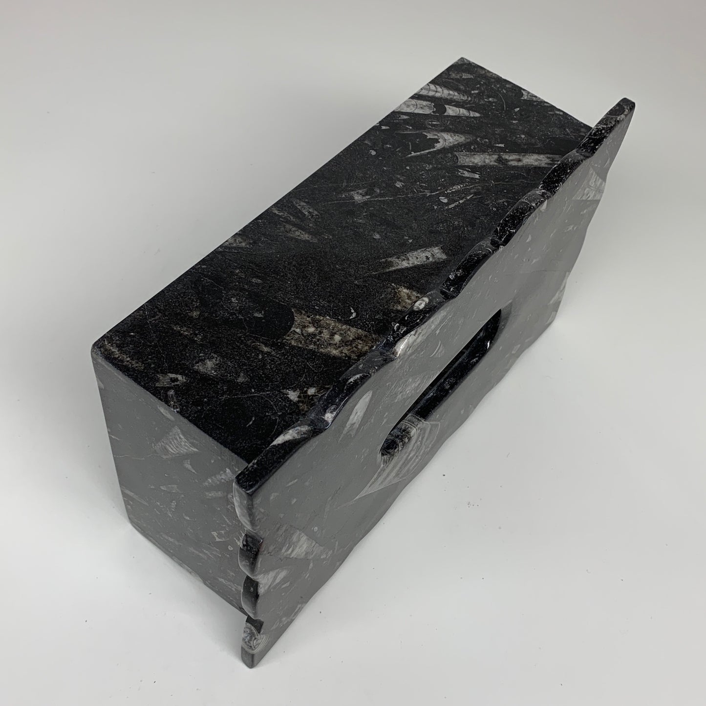 2.27kg, 10.5"x6.1" Black Fossils Orthoceras Tissue Paper Box Cover @Morocco,F446
