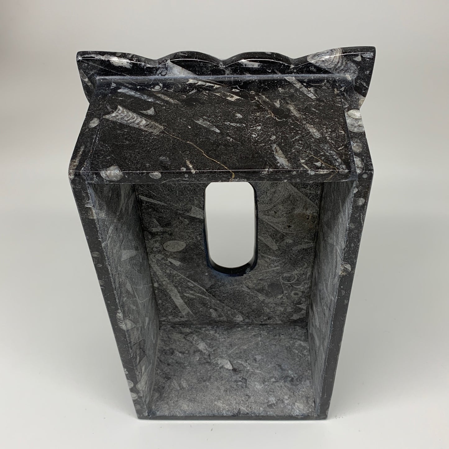 2.27kg, 10.5"x6.1" Black Fossils Orthoceras Tissue Paper Box Cover @Morocco,F446
