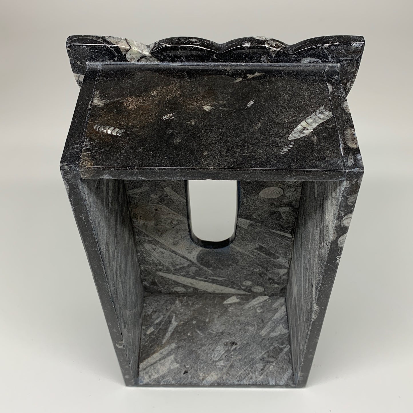 2.27kg, 10.5"x6.1" Black Fossils Orthoceras Tissue Paper Box Cover @Morocco,F446