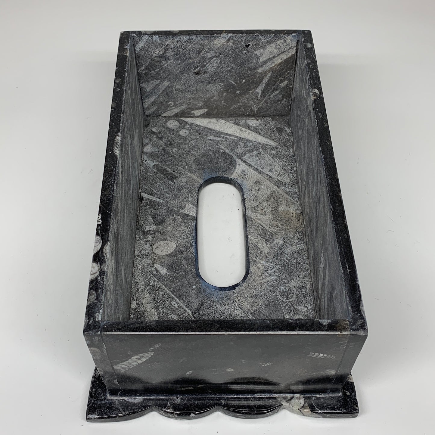 2.27kg, 10.5"x6.1" Black Fossils Orthoceras Tissue Paper Box Cover @Morocco,F446