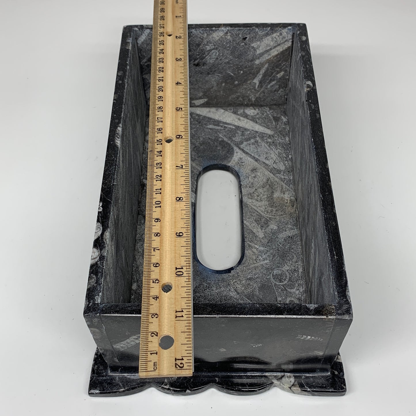 2.27kg, 10.5"x6.1" Black Fossils Orthoceras Tissue Paper Box Cover @Morocco,F446