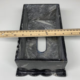 2.27kg, 10.5"x6.1" Black Fossils Orthoceras Tissue Paper Box Cover @Morocco,F446
