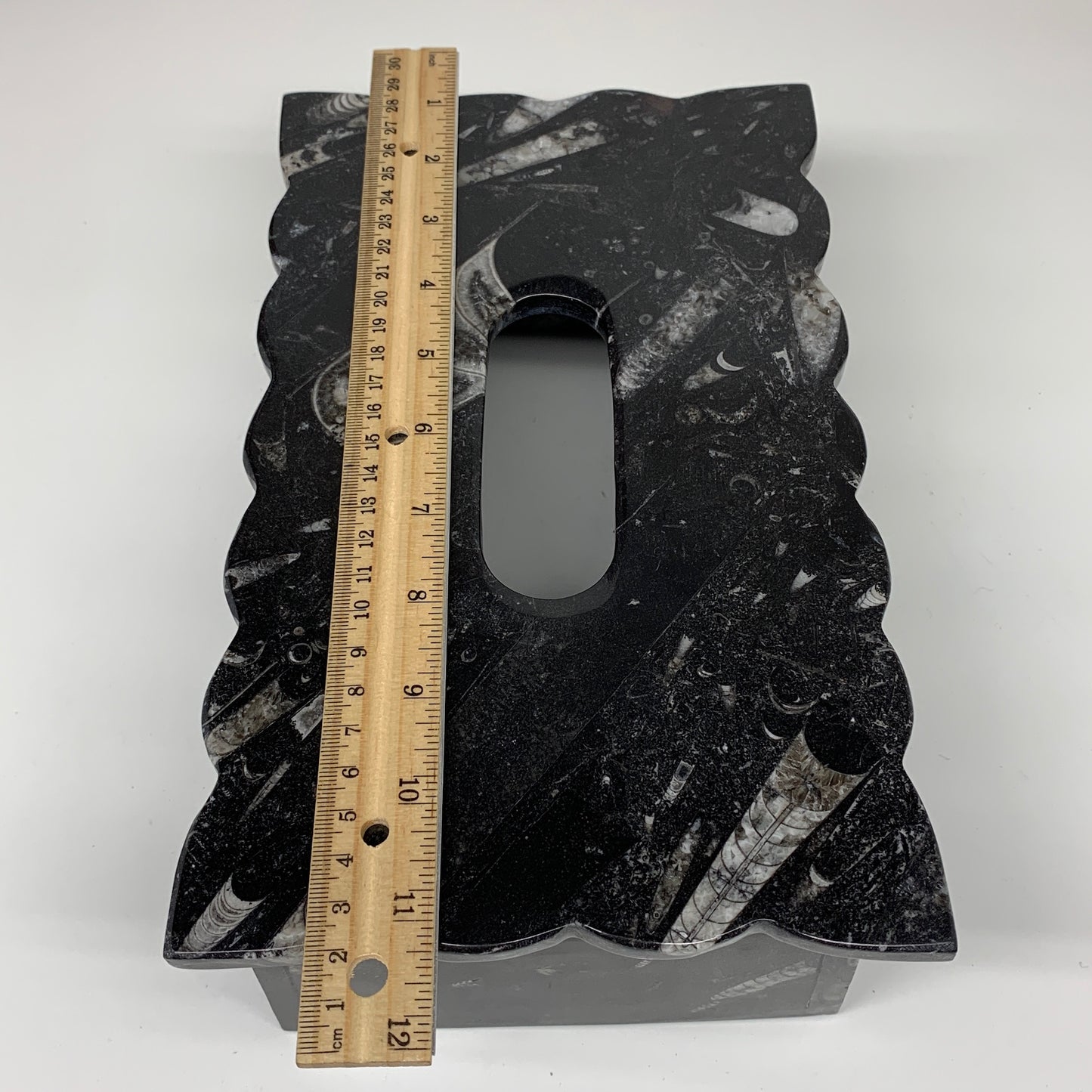 2.27kg, 10.5"x6.1" Black Fossils Orthoceras Tissue Paper Box Cover @Morocco,F446