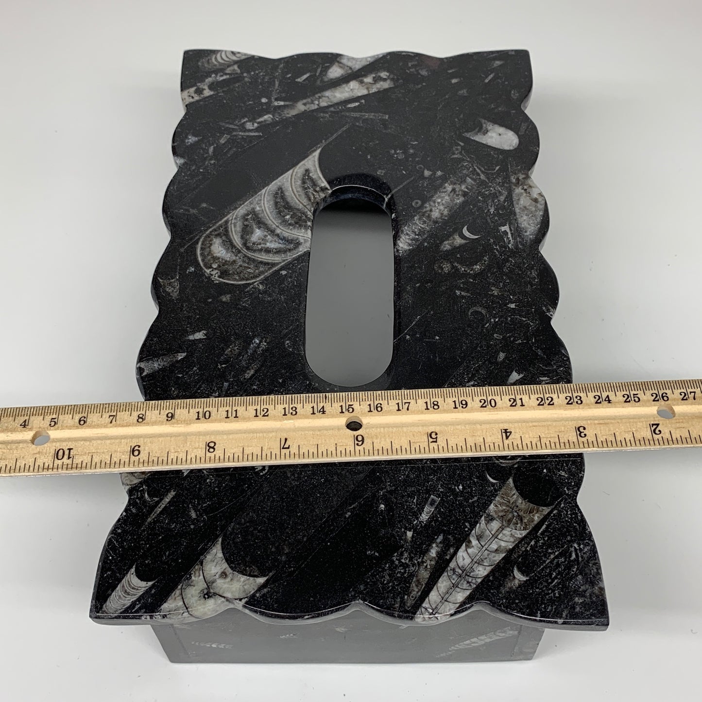2.27kg, 10.5"x6.1" Black Fossils Orthoceras Tissue Paper Box Cover @Morocco,F446