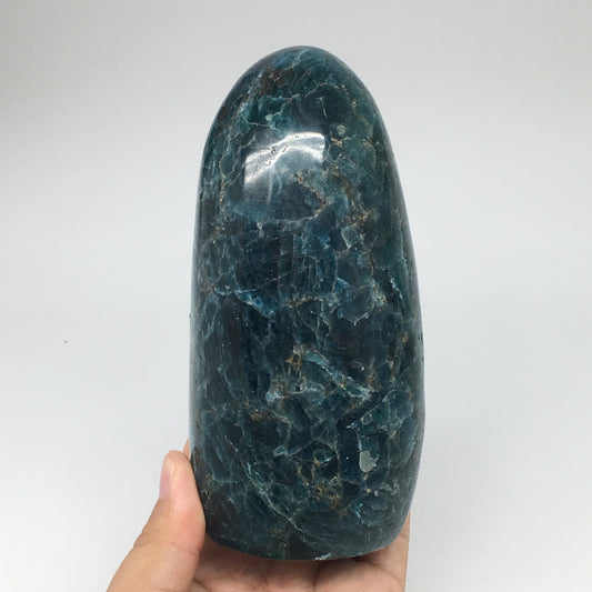 1374g,5.8"x2.9"x2.7" Blue Apatite Polished Freeform Stands @Madagascar,B1174
