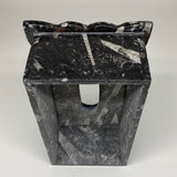 2.27kg, 10.5"x6.25" Black Fossils Orthoceras Tissue Paper Box Cover @Morocco,F44