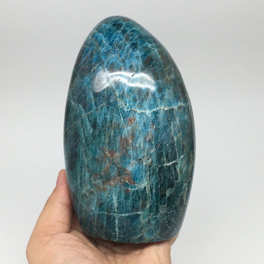 1534g,5.7"x3.4"x2.6" Blue Apatite Polished Freeform Stands @Madagascar,B1176