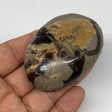 93.4g,2.5"x1.7"x0.9" Septarian Nodule Palm-Stone Polished Reiki Madagascar,B5103
