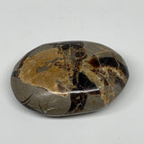93.4g,2.5"x1.7"x0.9" Septarian Nodule Palm-Stone Polished Reiki Madagascar,B5103