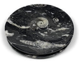 1040g, 2pcs Set,7" Fossils Orthoceras Bowls Round Ammonite Ring  @Morocco,B8822