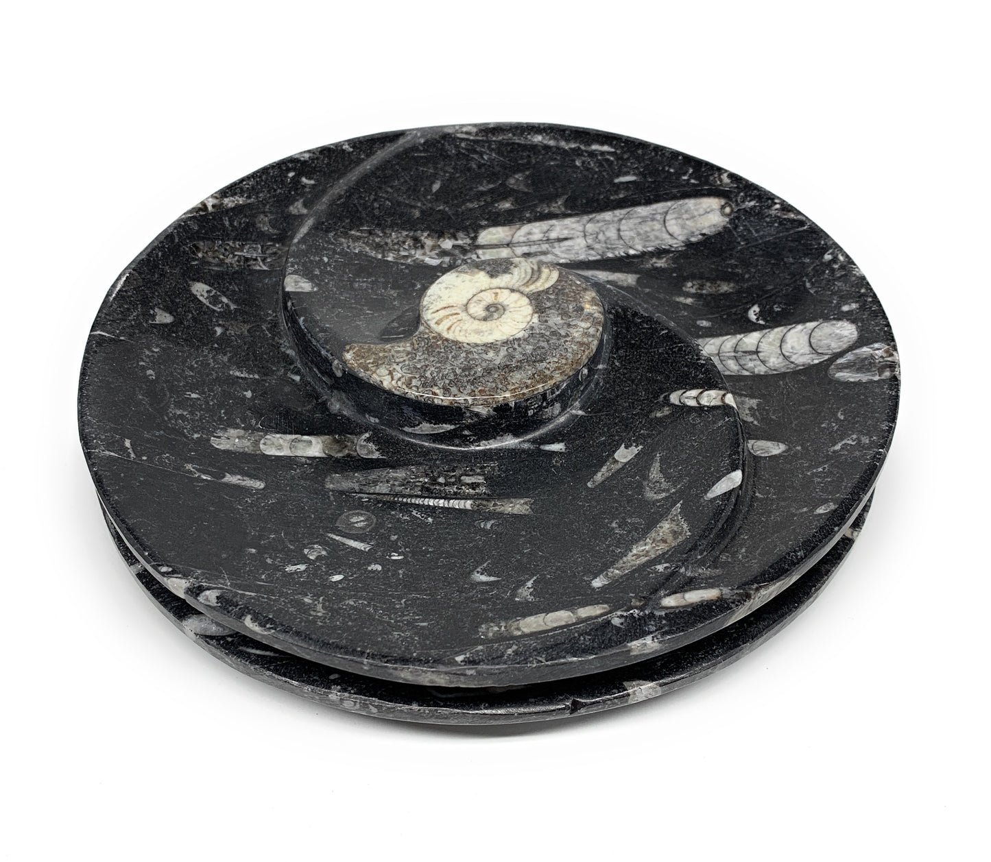 1070g, 2pcs Set,7" Fossils Orthoceras Bowls Round Ammonite Ring  @Morocco,B8823