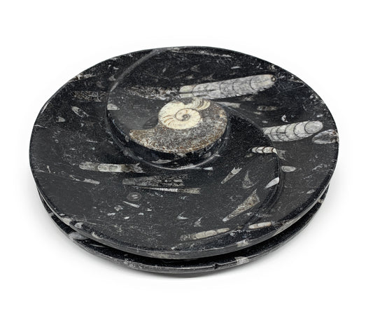 1070g, 2pcs Set,7" Fossils Orthoceras Bowls Round Ammonite Ring  @Morocco,B8823