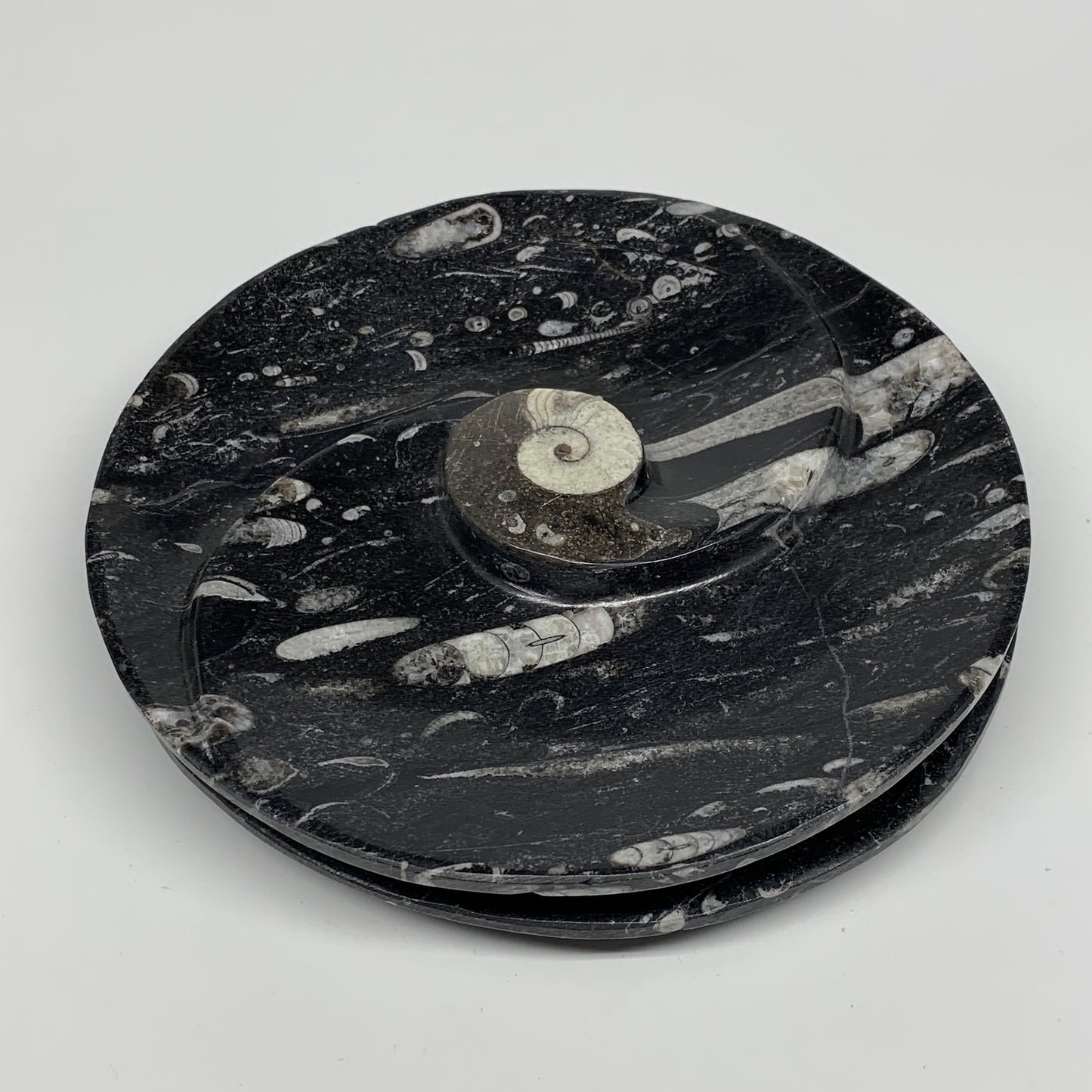 1070g, 2pcs Set,7" Fossils Orthoceras Bowls Round Ammonite Ring  @Morocco,B8823