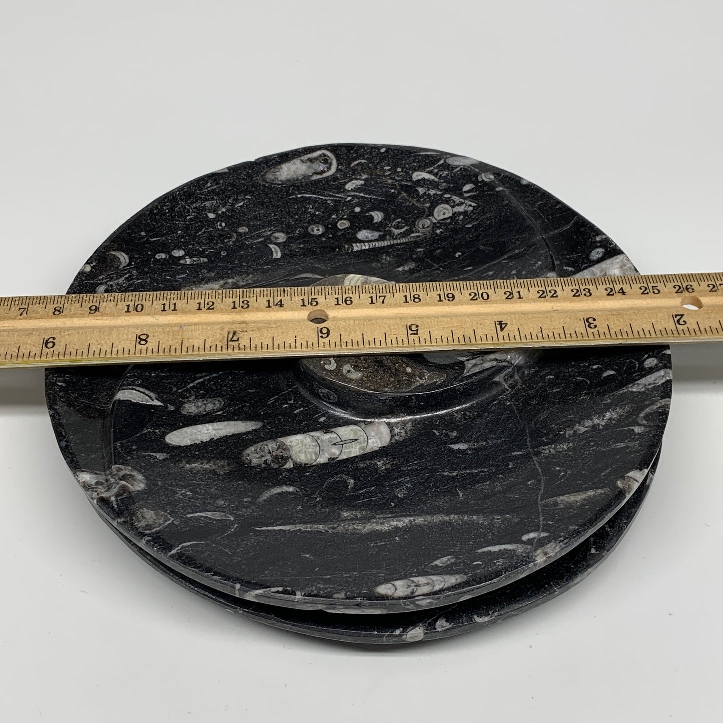 1070g, 2pcs Set,7" Fossils Orthoceras Bowls Round Ammonite Ring  @Morocco,B8823