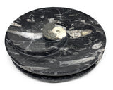 1058g, 2pcs Set,7" Fossils Orthoceras Bowls Round Ammonite Ring @Morocco,B8826