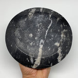 1058g, 2pcs Set,7" Fossils Orthoceras Bowls Round Ammonite Ring @Morocco,B8826