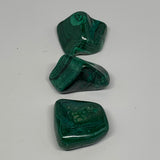 160.9g, 1.5"-1.8",3pcs, Natural Small Malachite Tumbled Polished Gemstone, B1857