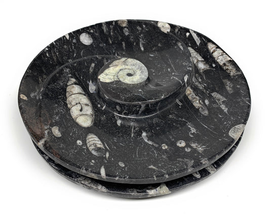 1128g, 2pcs Set,7" Fossils Orthoceras Bowls Round Ammonite Ring @Morocco,B8827