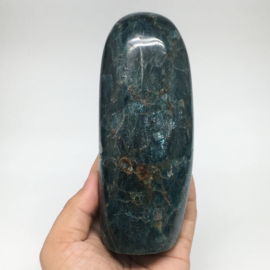 888g,5.7"x2.4"x1.9" Blue Apatite Polished Freeform Stands @Madagascar,B1184