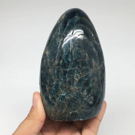 792g,4.3"x2.7"x2.5" Blue Apatite Polished Freeform Stands @Madagascar,B1185