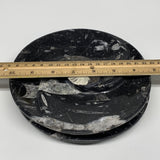 1180g, 2pcs Set,7" Fossils Orthoceras Bowls Round Ammonite Ring @Morocco,B8828