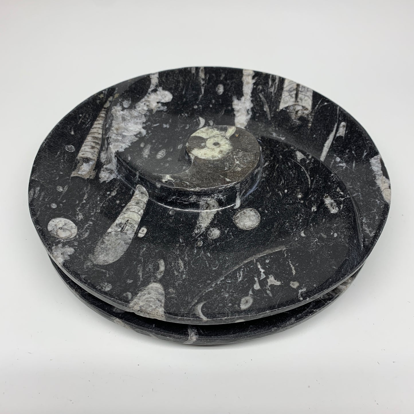 1116g, 2pcs Set,7" Fossils Orthoceras Bowls Round Ammonite Ring @Morocco,B8829