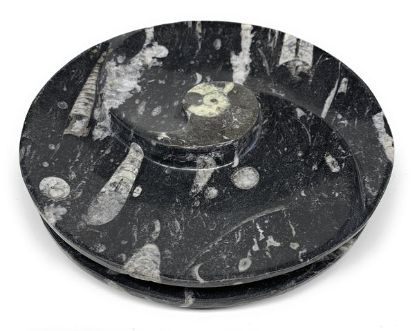 1116g, 2pcs Set,7" Fossils Orthoceras Bowls Round Ammonite Ring @Morocco,B8829