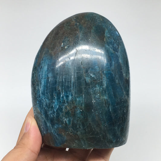828g,4.1"x3.2"x2.2" Blue Apatite Polished Freeform Stands @Madagascar,B1186