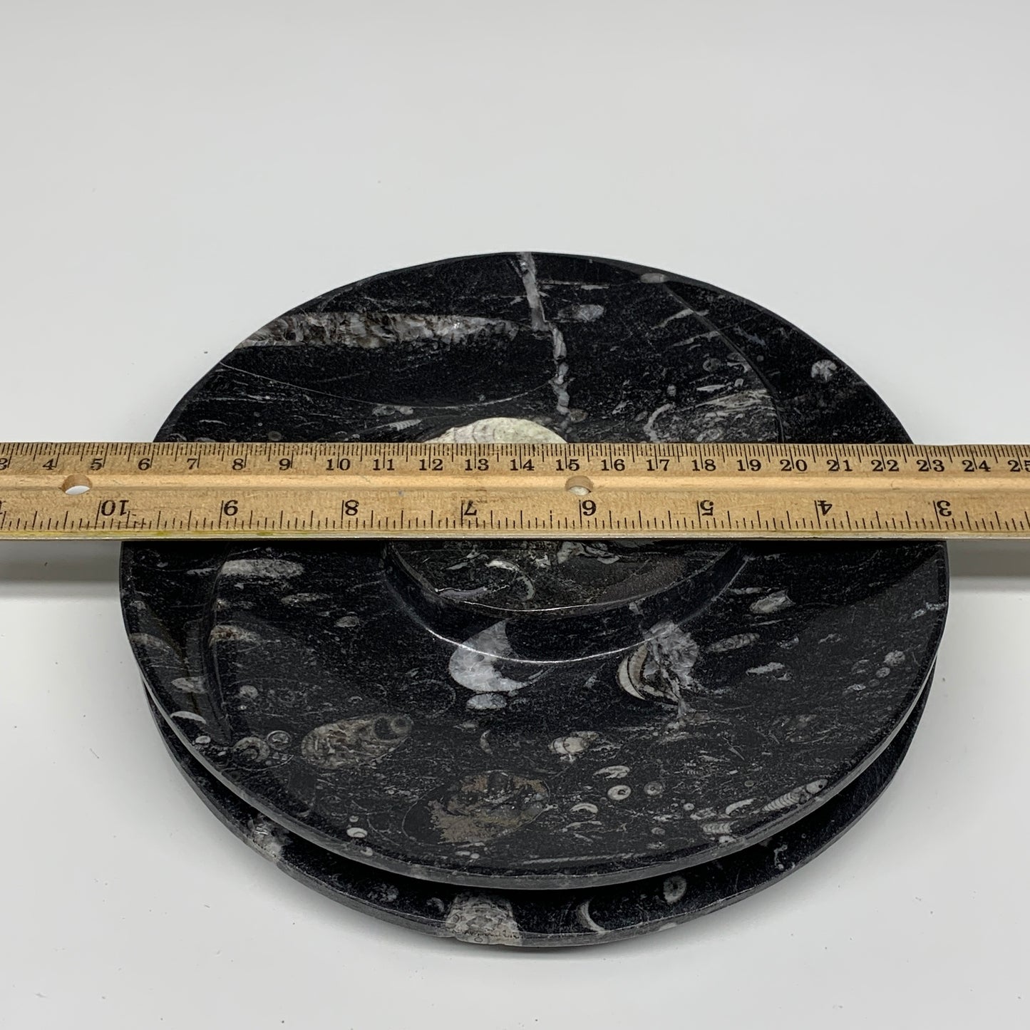 1116g, 2pcs Set,7" Fossils Orthoceras Bowls Round Ammonite Ring @Morocco,B8829