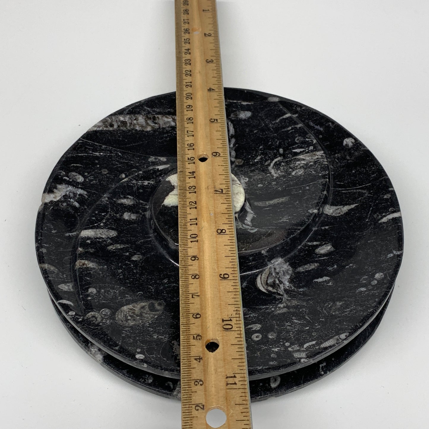 1116g, 2pcs Set,7" Fossils Orthoceras Bowls Round Ammonite Ring @Morocco,B8829