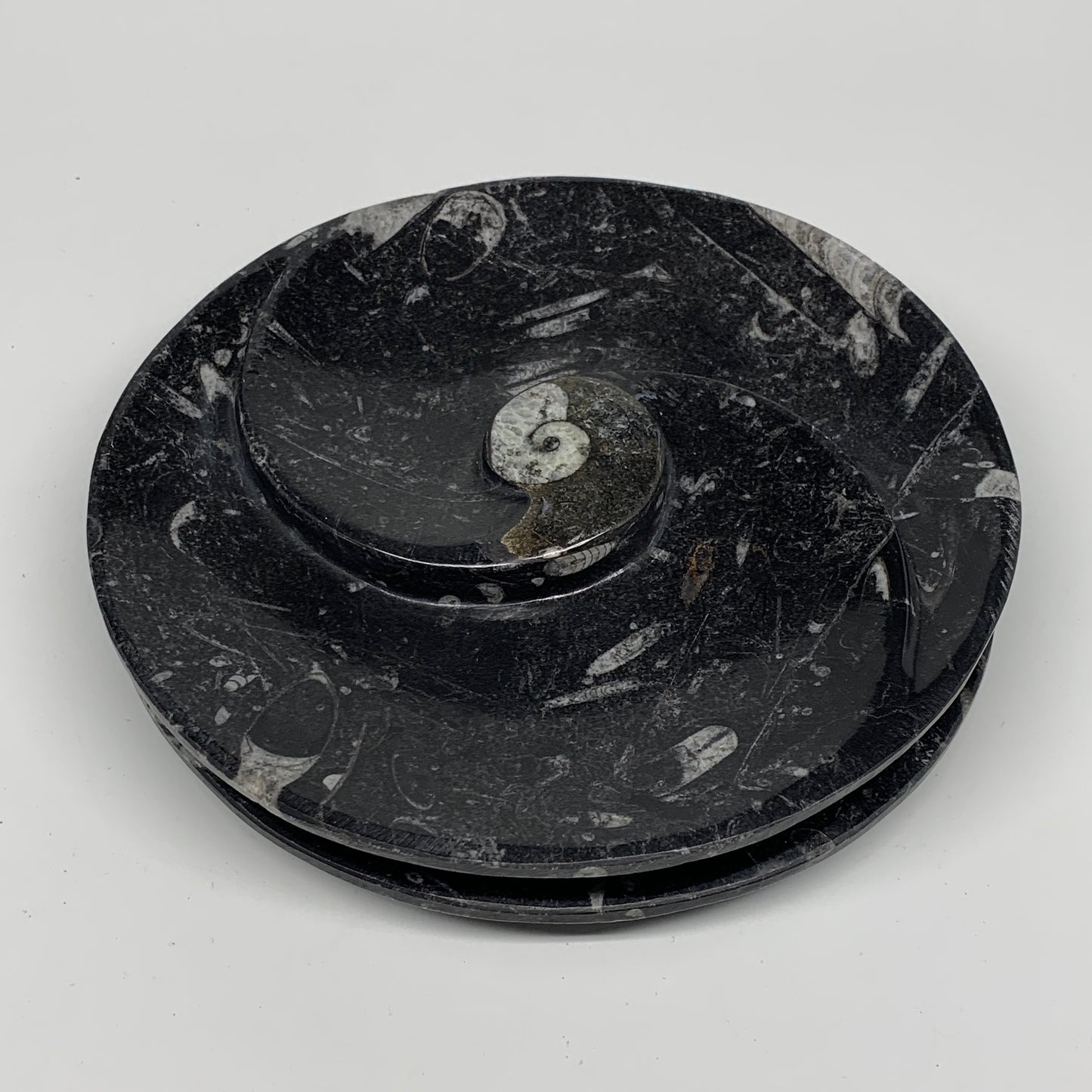 1024g, 2pcs Set,7" Fossils Orthoceras Bowls Round Ammonite Ring @Morocco,B8830