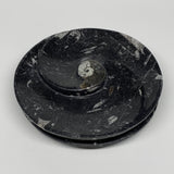 1024g, 2pcs Set,7" Fossils Orthoceras Bowls Round Ammonite Ring @Morocco,B8830