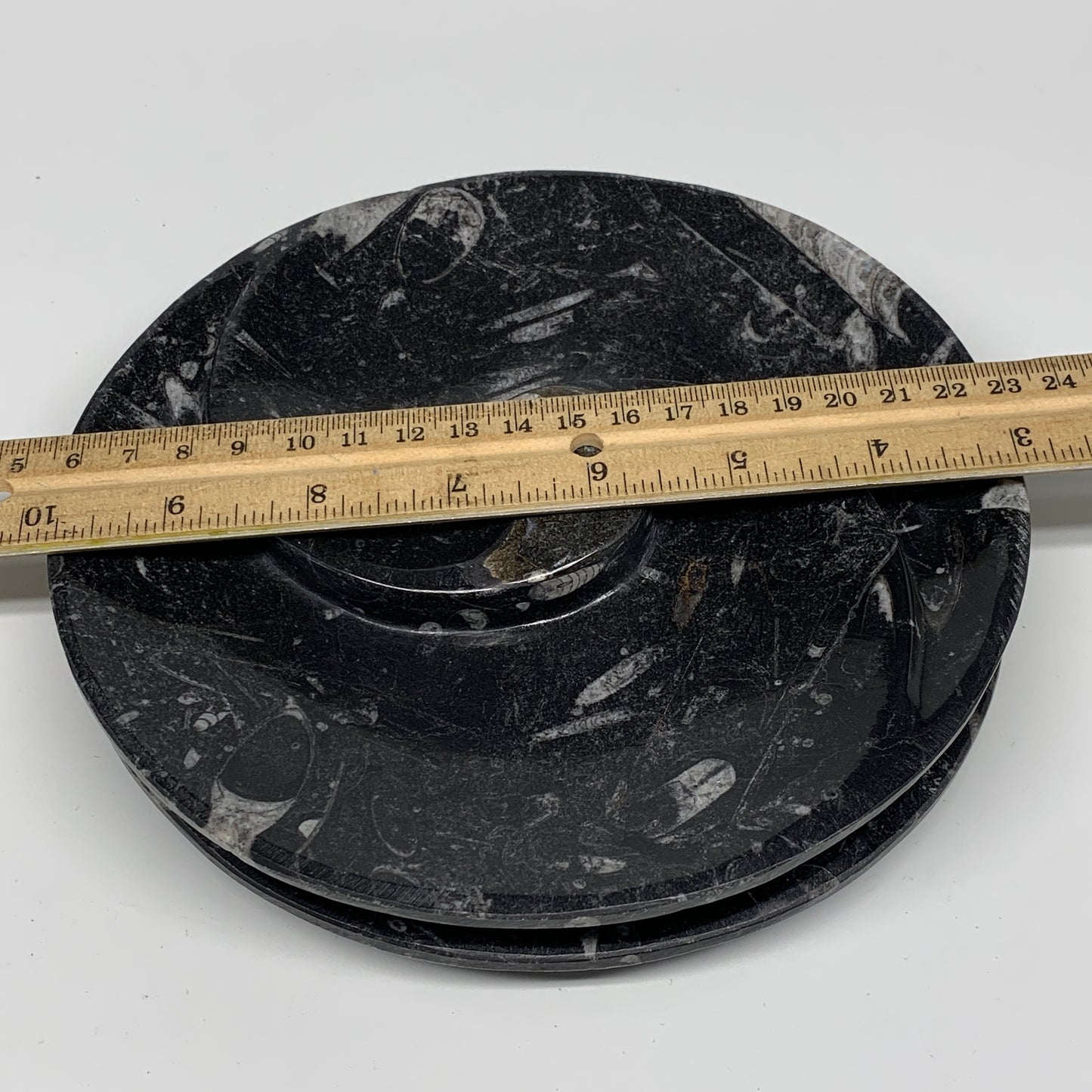 1024g, 2pcs Set,7" Fossils Orthoceras Bowls Round Ammonite Ring @Morocco,B8830