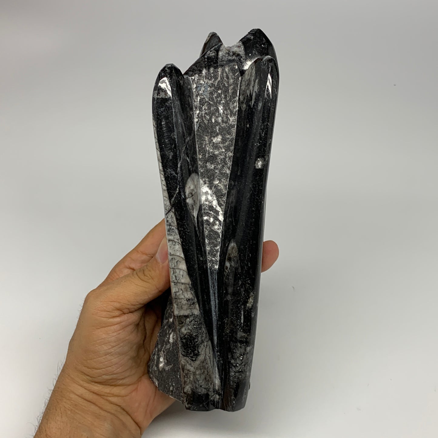 1100g, 8"x2.5"2.6" Black Fossils Orthoceras Sculpture Tower @Morocco, B23408