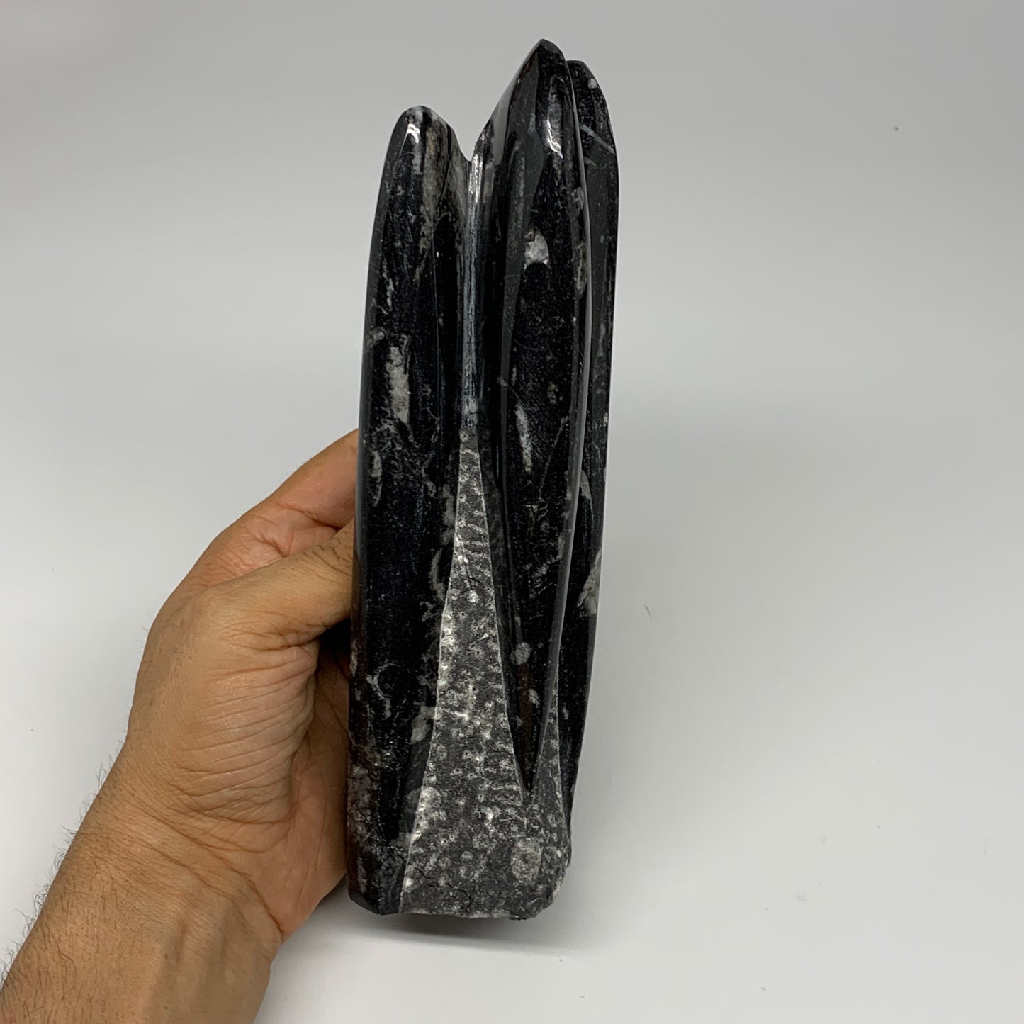 1100g, 8"x2.5"2.6" Black Fossils Orthoceras Sculpture Tower @Morocco, B23408