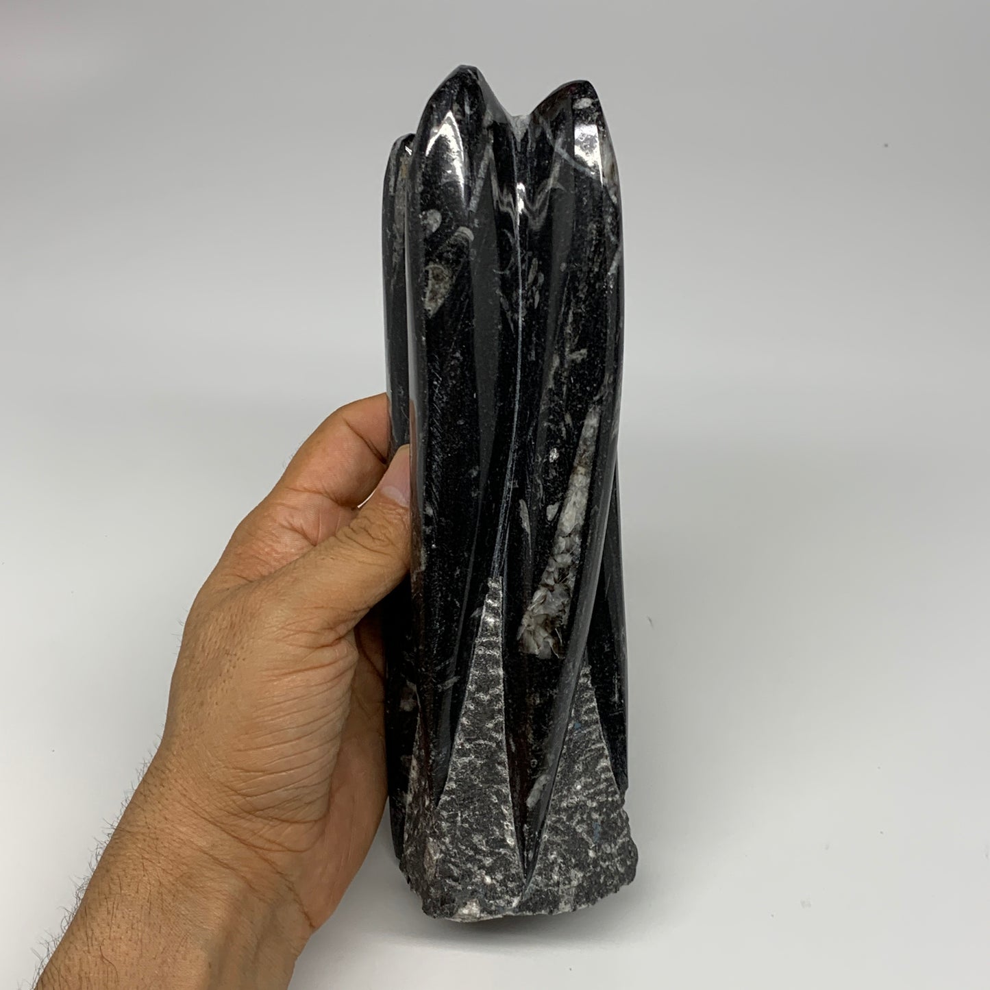 1100g, 8"x2.5"2.6" Black Fossils Orthoceras Sculpture Tower @Morocco, B23408